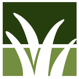 San Jose Lawn Clean Up