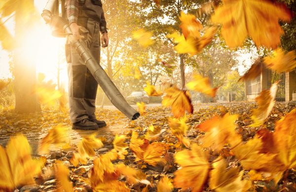 Leaf Blowing Service in San Jose