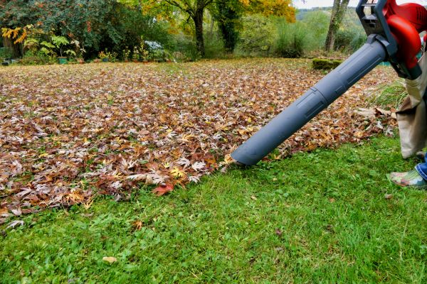 Leaf Vacuuming Service in San Jose