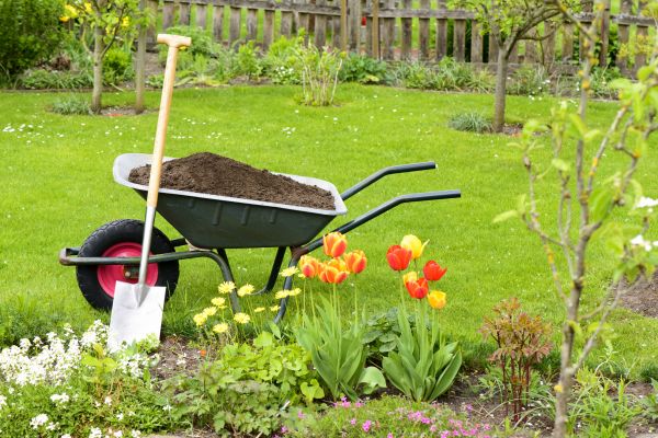 Spring Yard Cleanup in San Jose