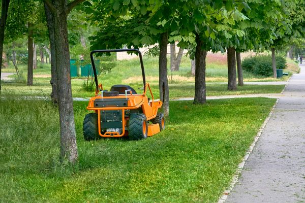 Landscaping Cleanup Service in San Jose