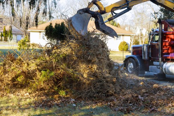 Storm Debris Removal in San Jose