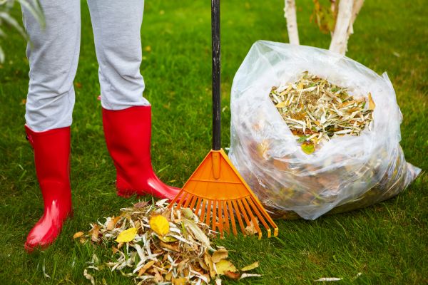 Leaf Disposal Service in San Jose