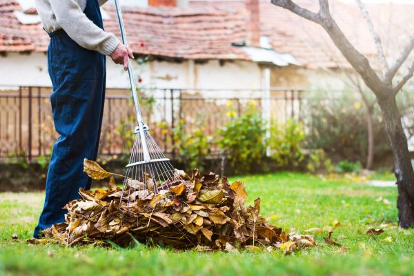 Spring Lawn Cleanup in San Jose