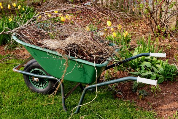 Lawn Waste Removal in San Jose