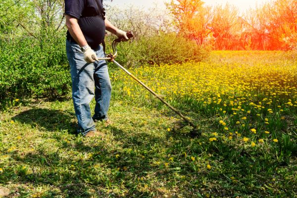 Yard Clearing Service in San Jose
