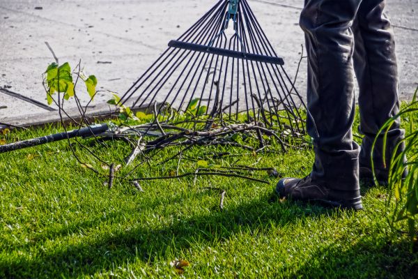 Yard Debris Cleanup in San Jose