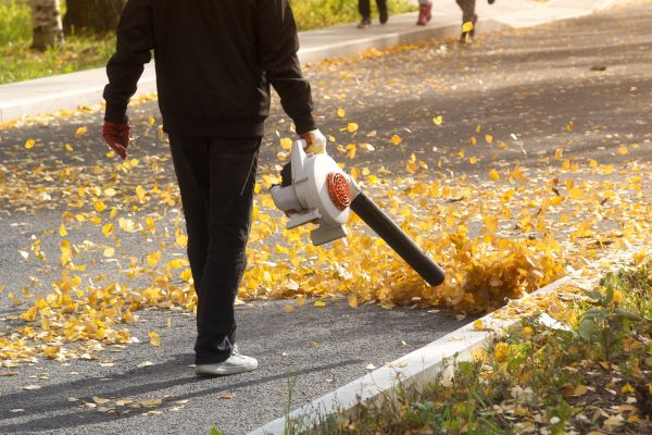 Commercial Leaf Removal in San Jose