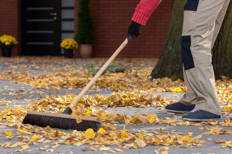 Leaf Cleanup Service